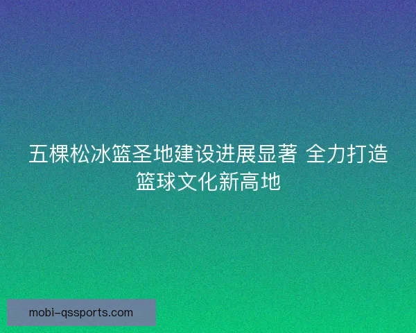 五棵松冰篮圣地建设进展显著 全力打造篮球文化新高地